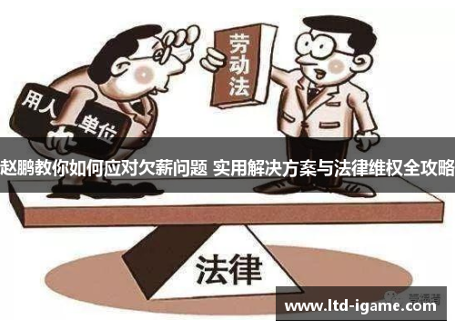 赵鹏教你如何应对欠薪问题 实用解决方案与法律维权全攻略