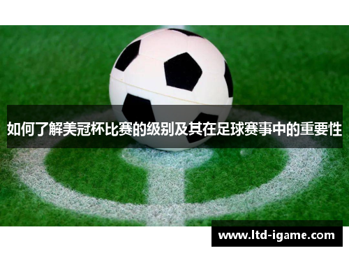 如何了解美冠杯比赛的级别及其在足球赛事中的重要性