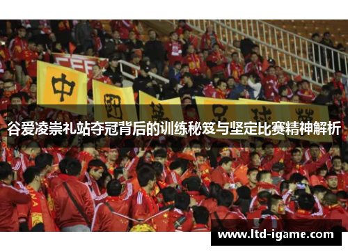 谷爱凌崇礼站夺冠背后的训练秘笈与坚定比赛精神解析