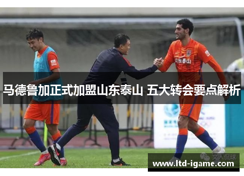 马德鲁加正式加盟山东泰山 五大转会要点解析